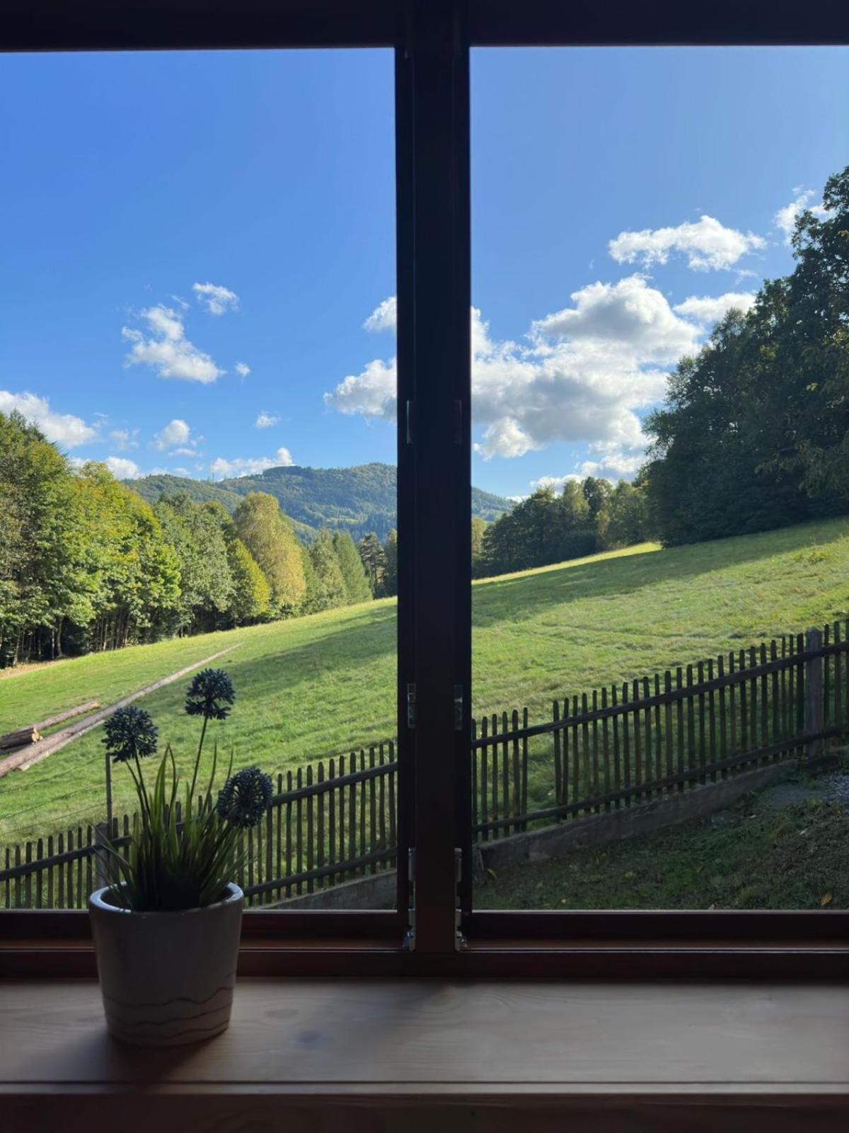 Villa Na Szlaku Brenna
